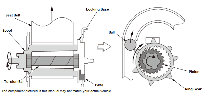 Seat Belts - Inspection & Adjustment